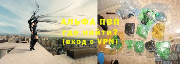 СК Белокуриха